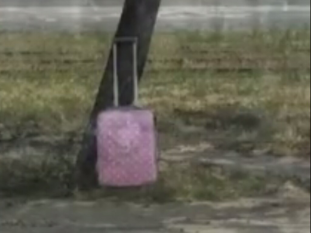 В Оболонском районе Киева найден подозрительный чемодан: улицы перекрыты &#8211; СМИ