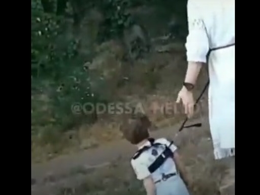 В Одессе заметили девушку с маленьким мальчиком на поводке (ВИДЕО)