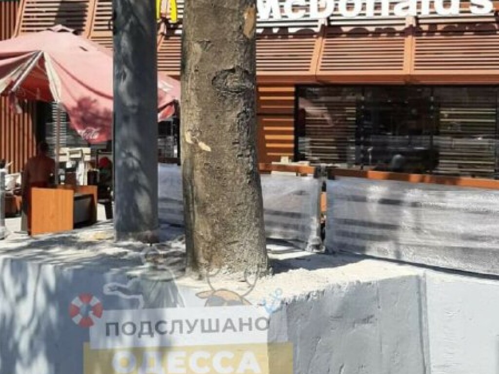 В Одессе строители опозорились с ремонтом: залили дерево бетоном (ФОТО)