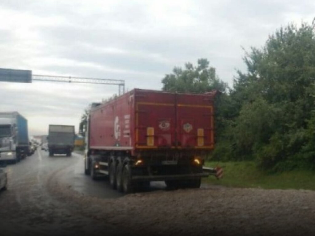 Водителя оштрафуют: из фуры на дорогу во Львовской области выпали десятки килограммов курятины (ФОТО, ВИДЕО)