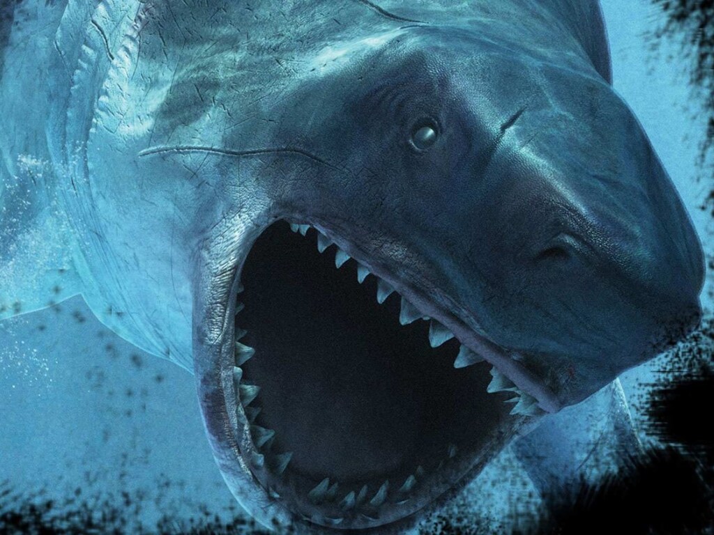 Ученым удалось установить внешность древней акулы мегалодона (ФОТО)