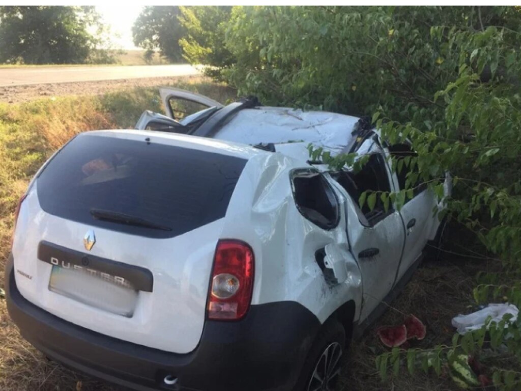 На трассе под Николаевом Renault вылетел в кювет и врезался в дерево (ФОТО)