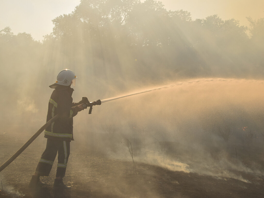 В заповеднике на Николаевщине пожар уничтожил 2 гектара растительности (ФОТО, ВИДЕО)
