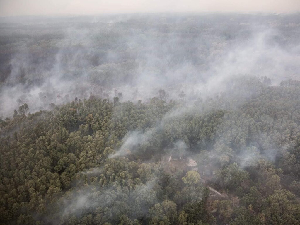 Пожары в Луганской области: Версии и последствия