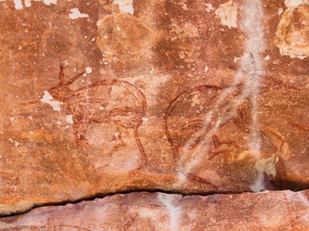 В Австралии археологи открыли совершенно новый стиль древнего искусства (ФОТО)