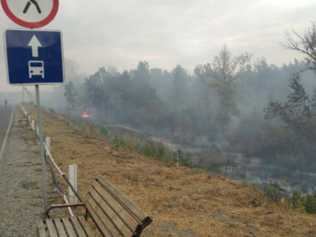 Пожары на Луганщине: спасателям удалось потушить четыре очага возгорания