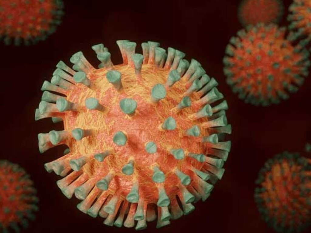 Треть населения мира может болеть коронавирусом повторно два и три раза &#8211; иммунолог