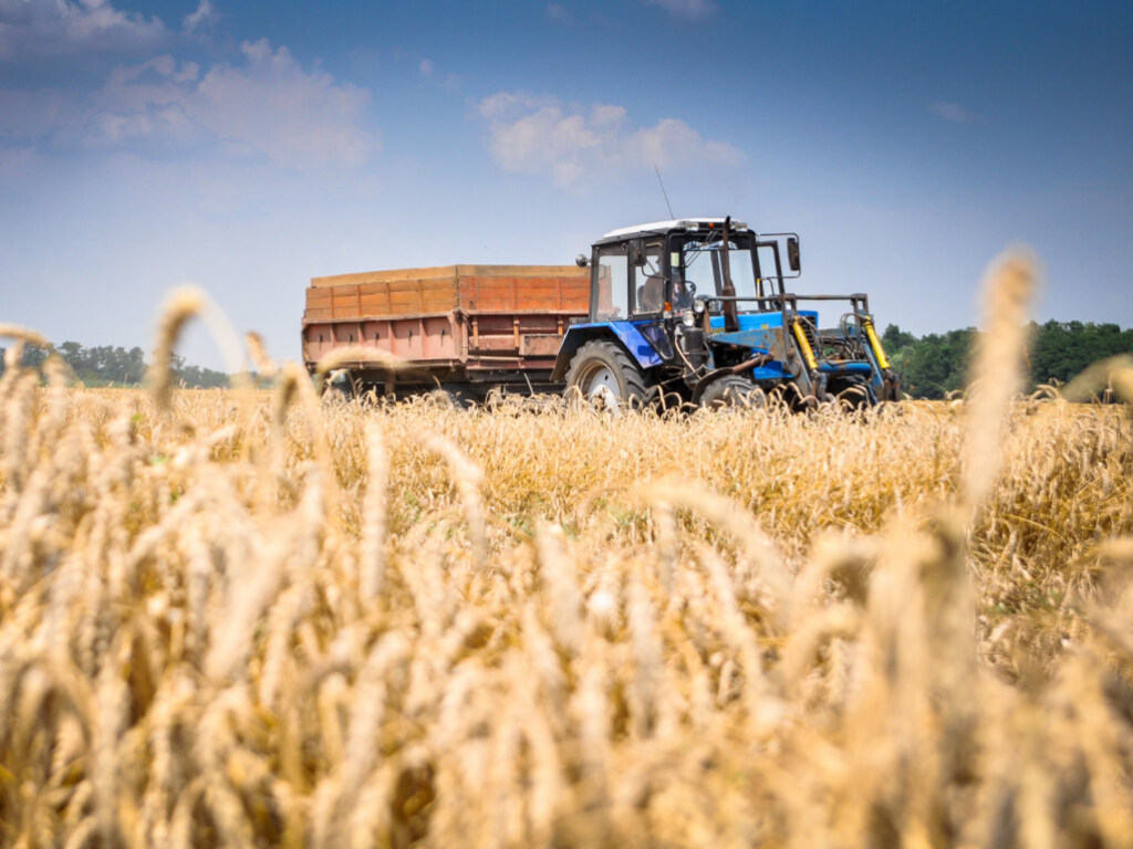И. Томич: «Украина теряет 100 тысяч рабочих мест в сельском хозяйстве»