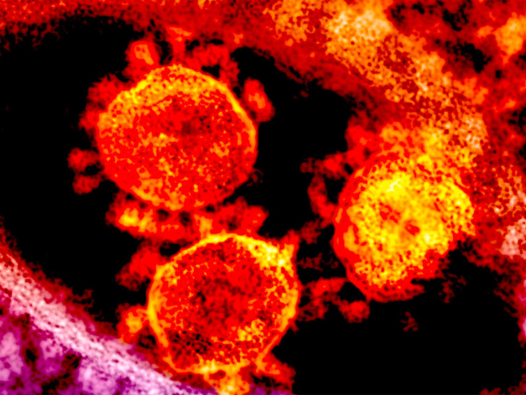 «Риск не иметь детей»: Ученые предупредили о вреде коронавируса для мужского организма